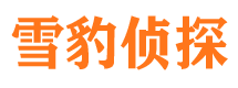 饶阳侦探公司